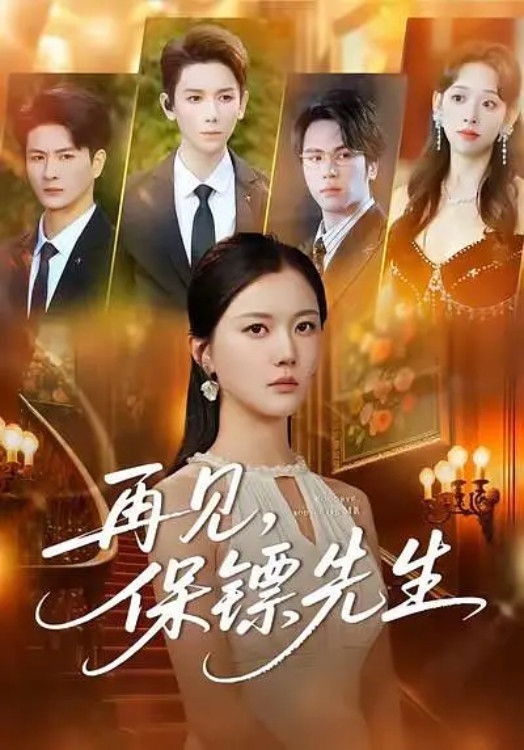 再见，保镖先生 - Season 1