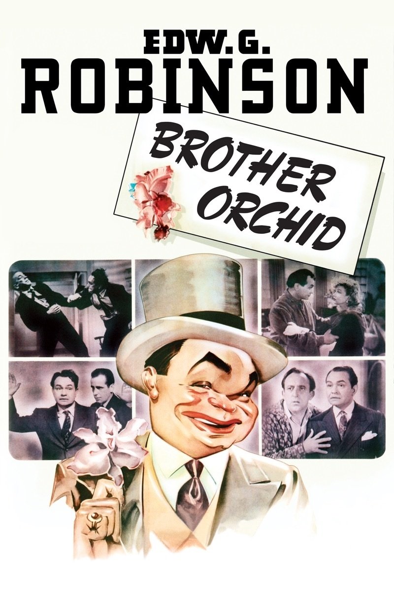 Brother Orchid