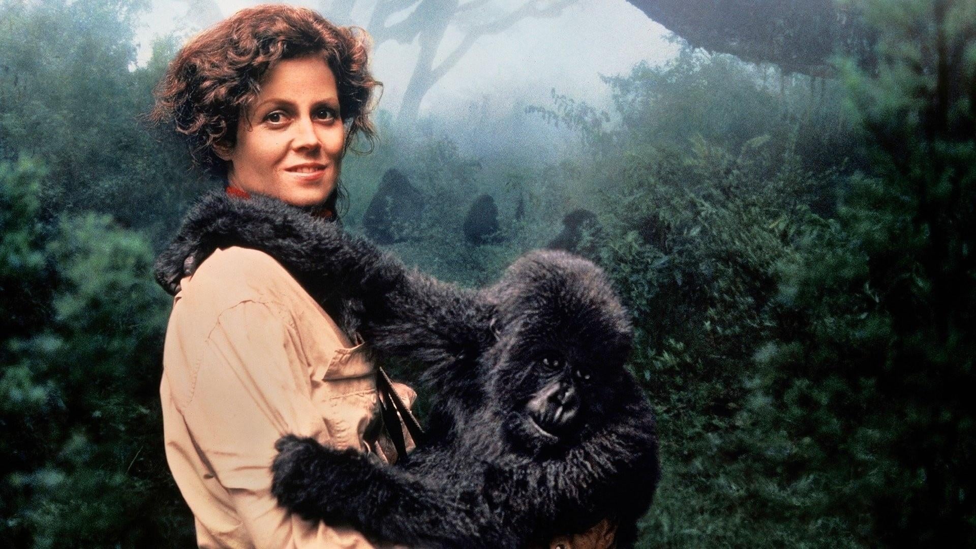 Gorillák a ködben online teljes film 1988
