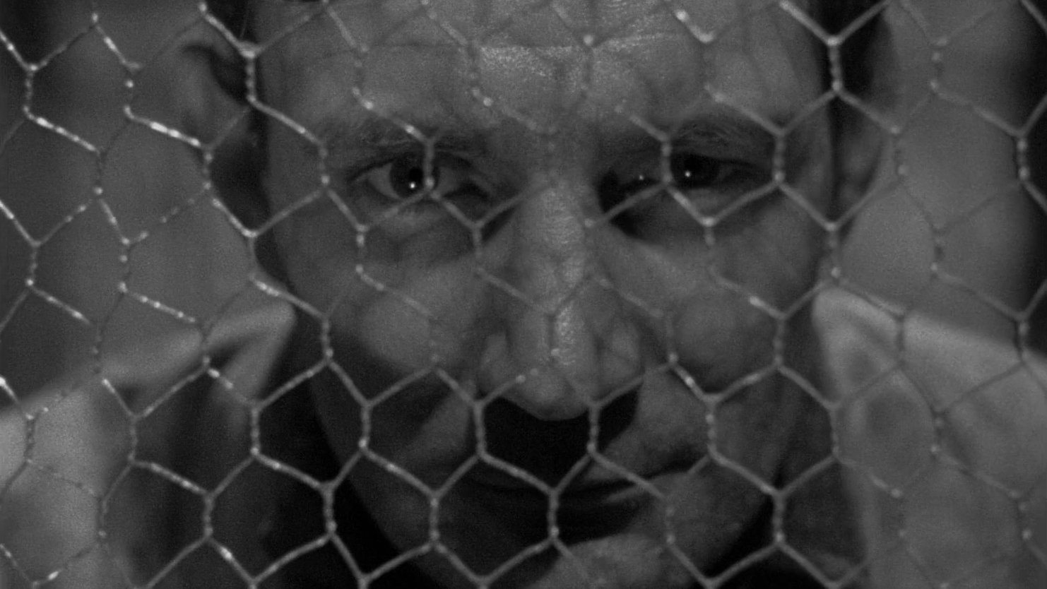 They Made Me a Fugitive (1947)