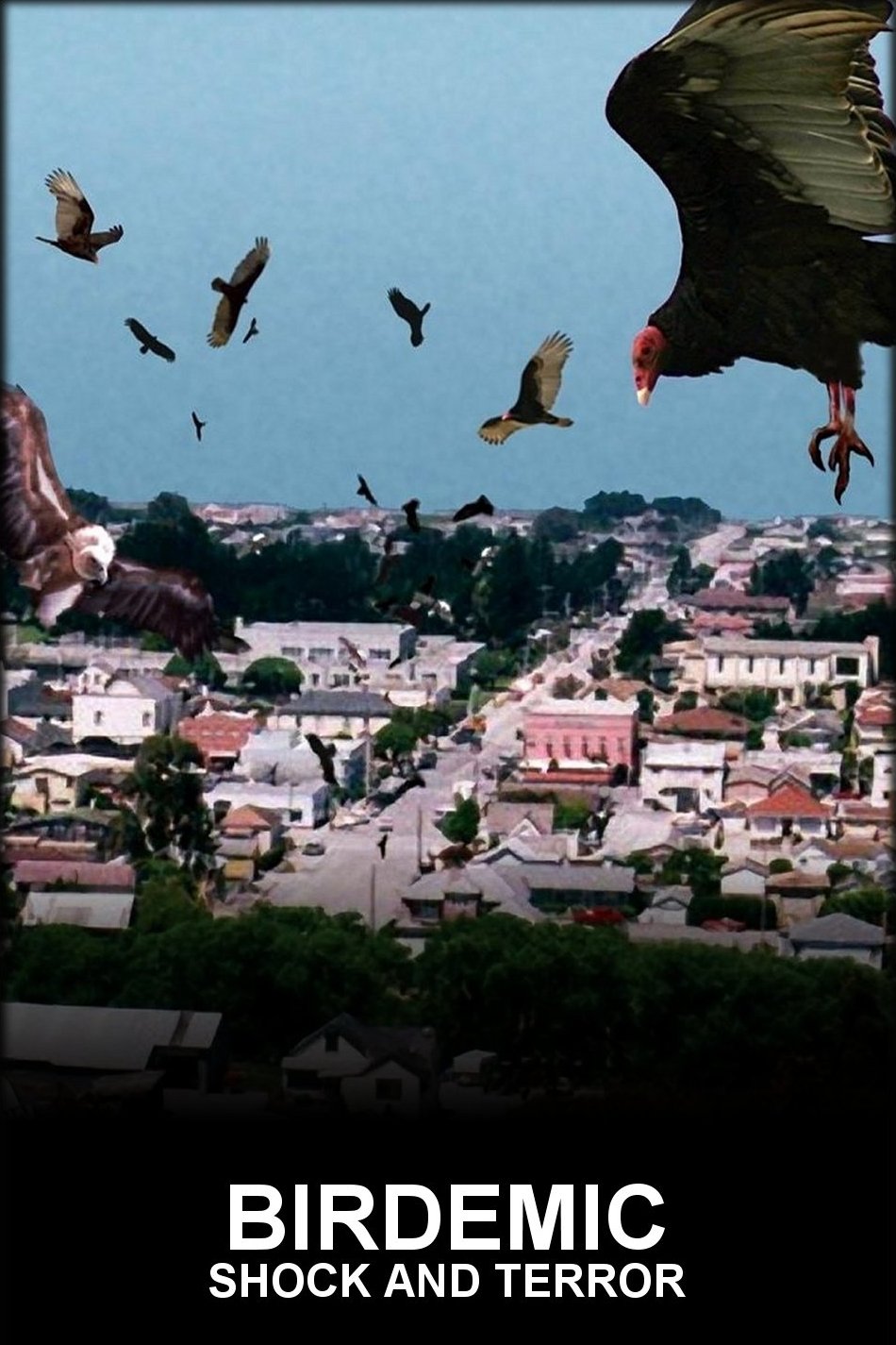 Birdemic: Shock and Terror