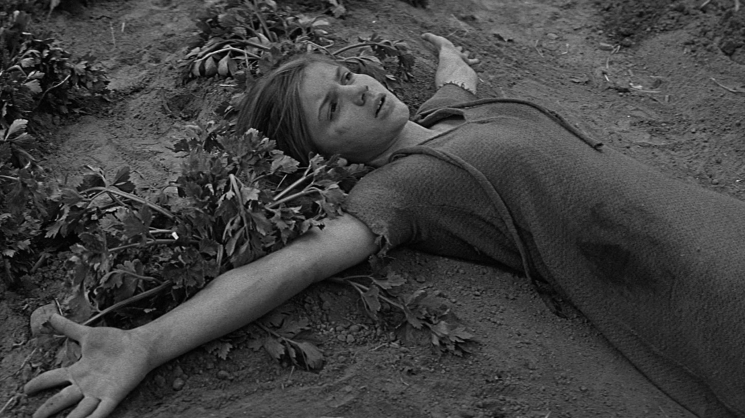 Rapture (1965)