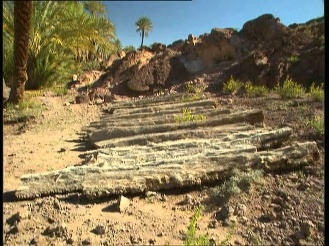 C'est pas sorcier - L'oasis, une escale dans le désert