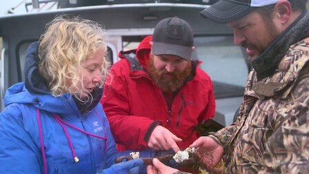 Pirate Gold of Adak Island