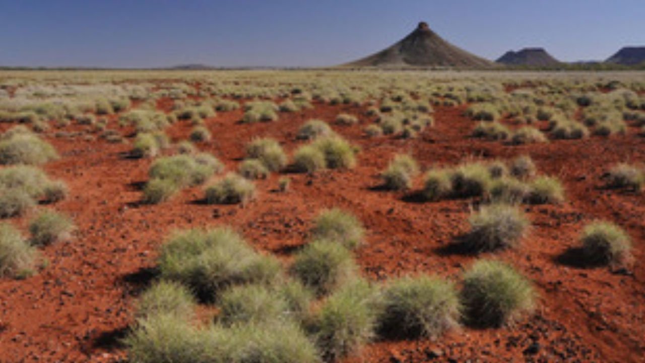 Australia: The Time Traveller's Guide