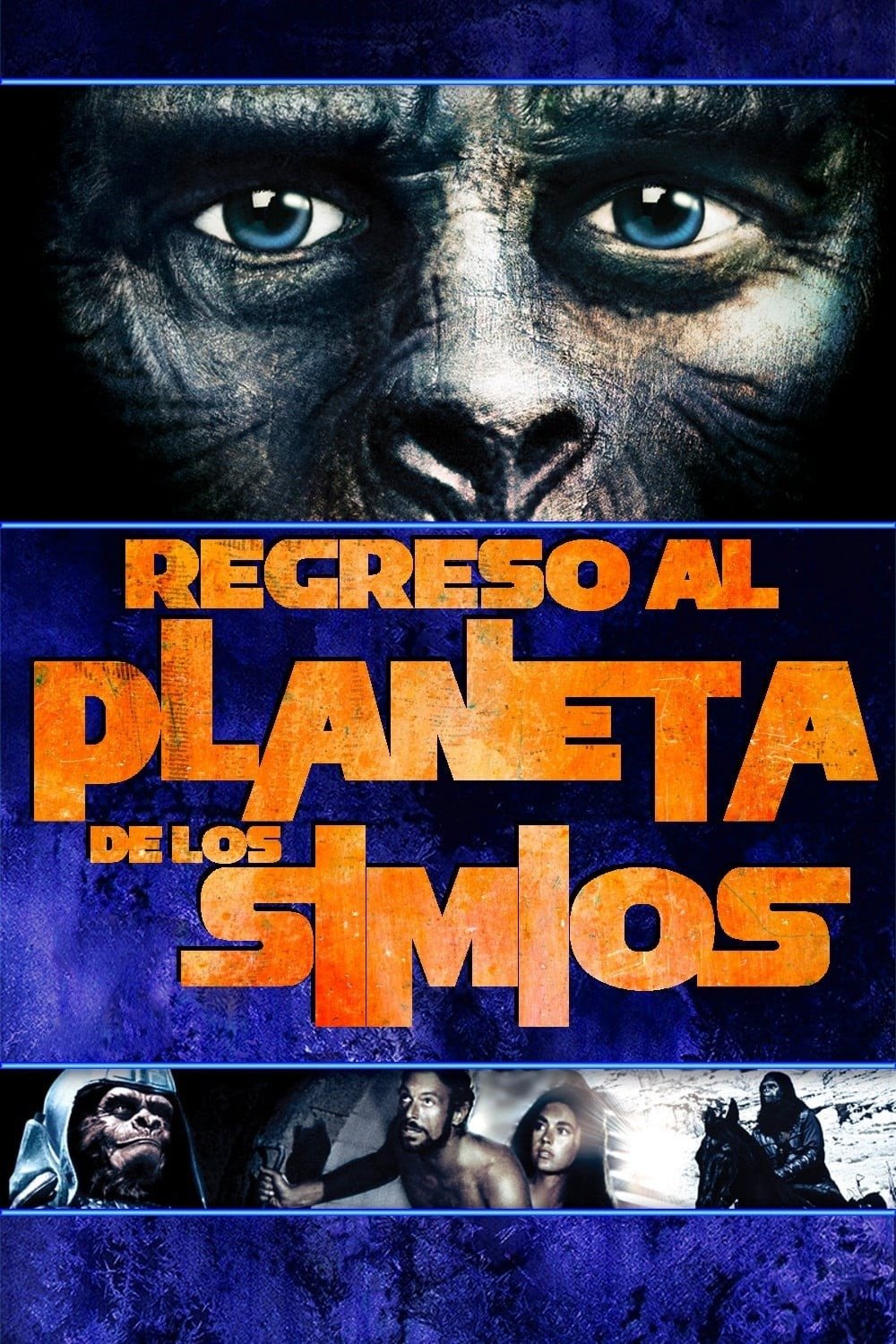 Poster 5