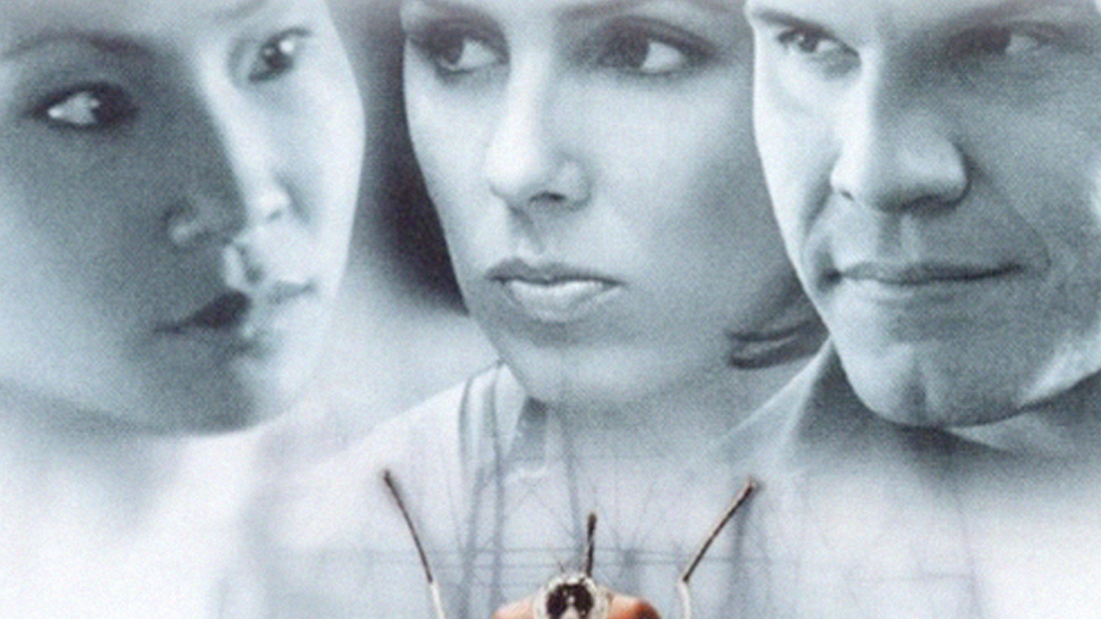 Flypaper (1999)