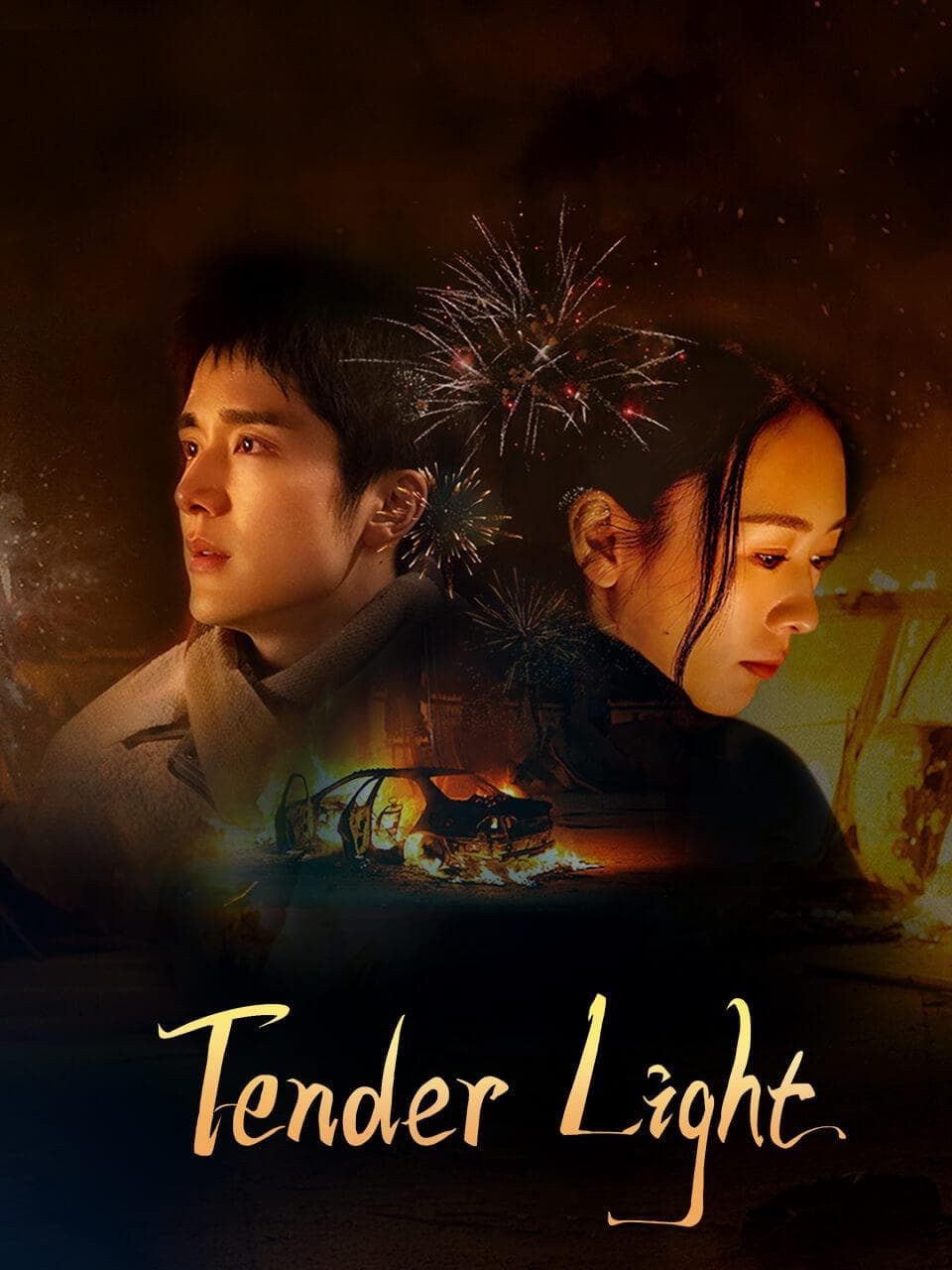 Tender Light ( 2024 ) Tender Light ( 2024 )