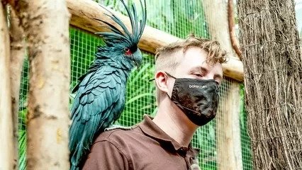 Expédition Pairi Daiza - Épisode 1