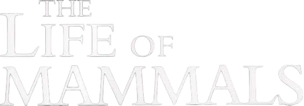 The Life of Mammals