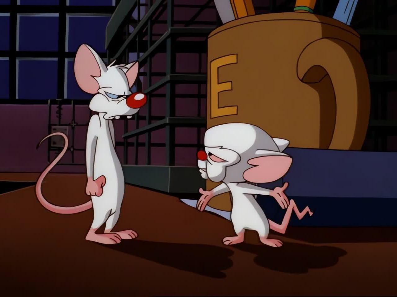Pinky and the Brain