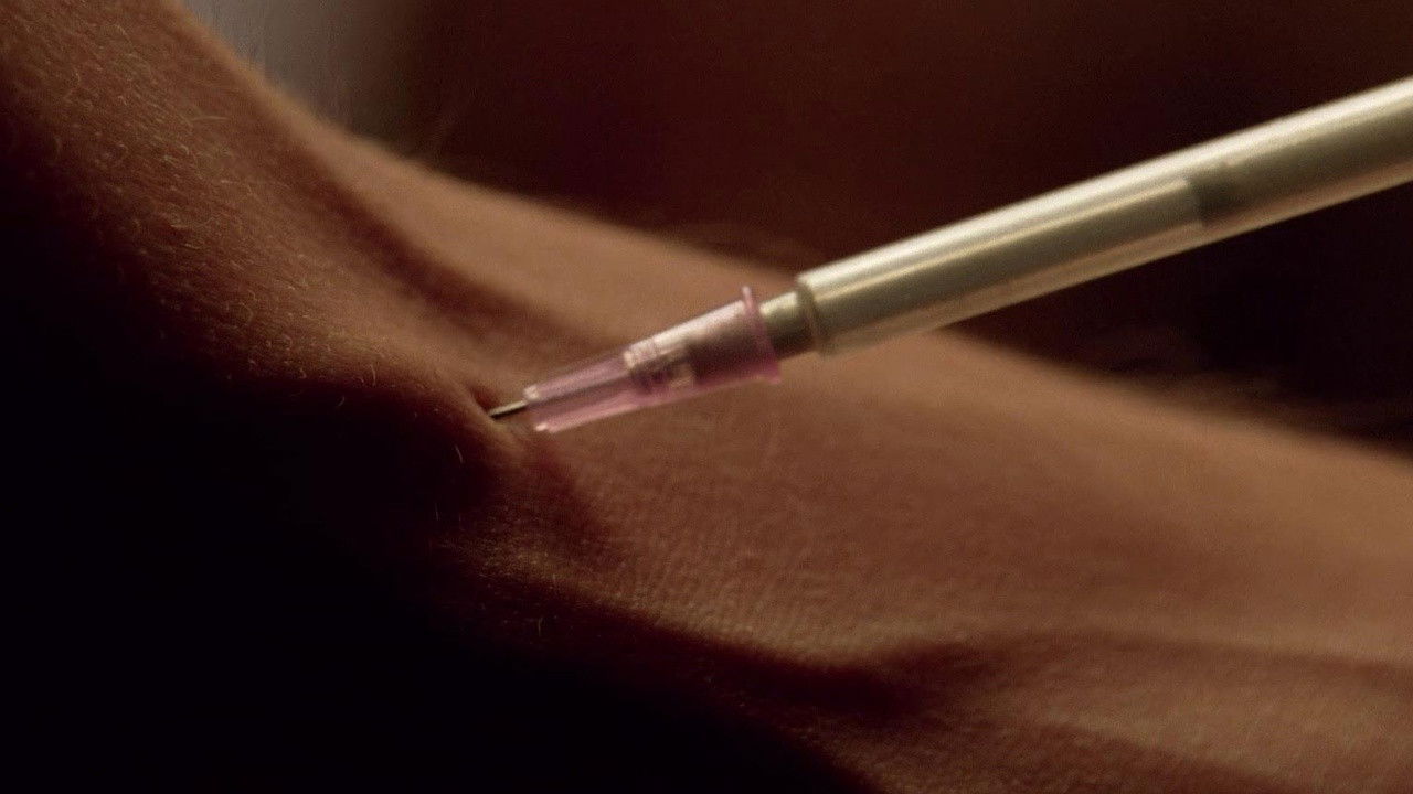 No Half Measures: Creating the Final Season of Breaking Bad (2013)