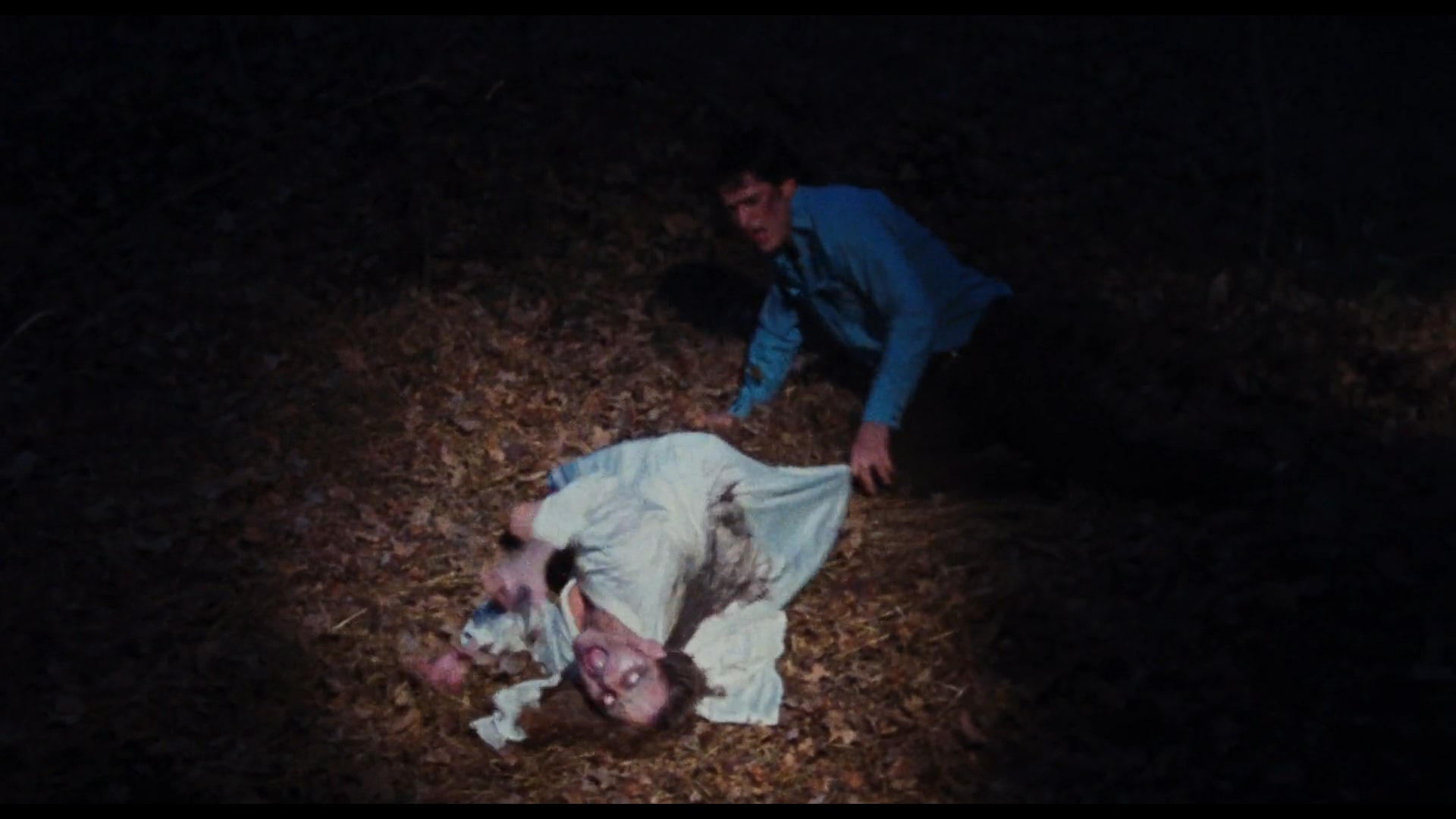 The Evil Dead (1981)