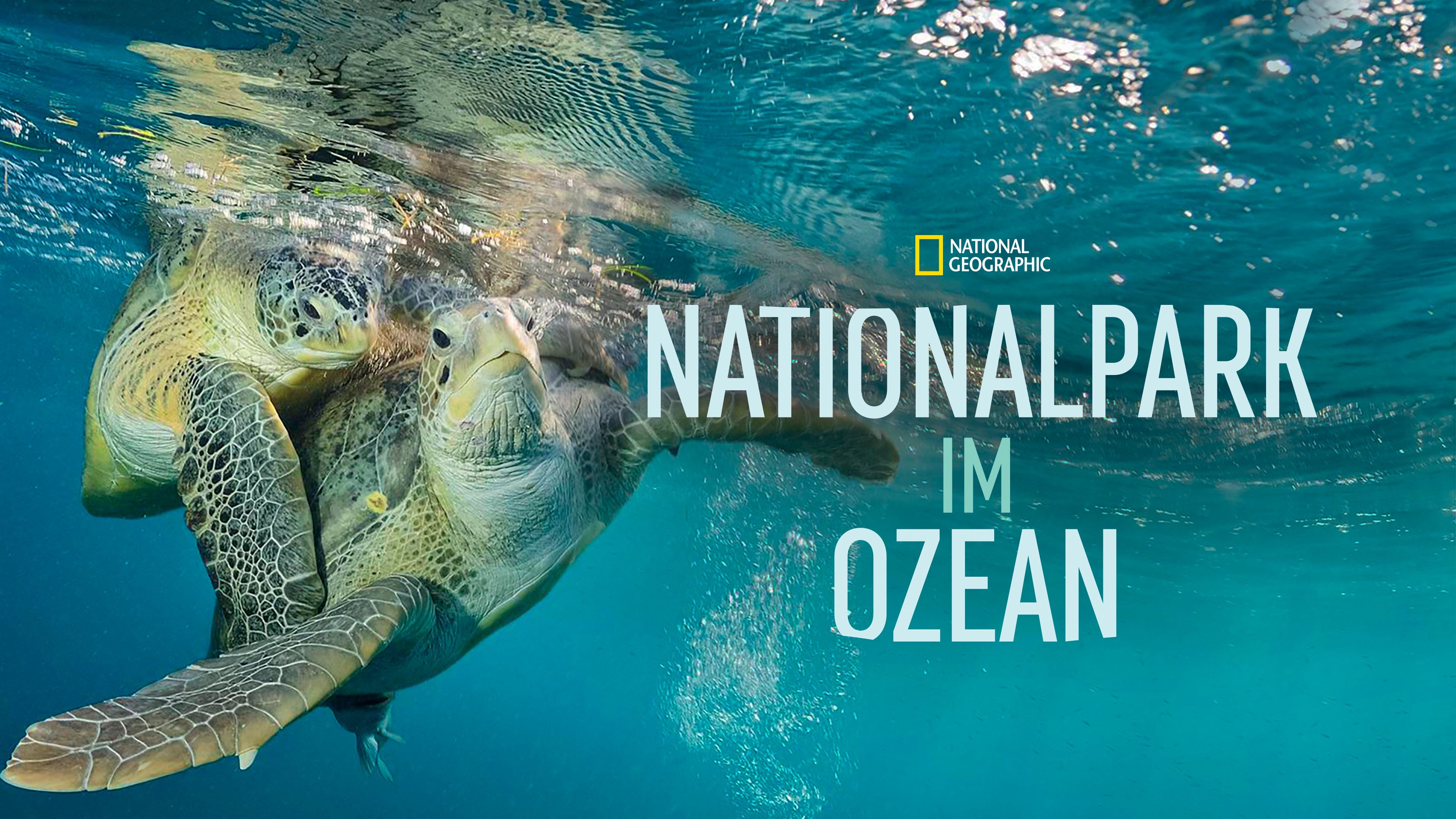 Sea of Hope: America's Underwater Treasures