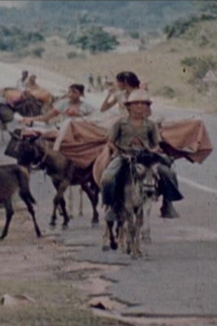 Ciganos do Nordeste image