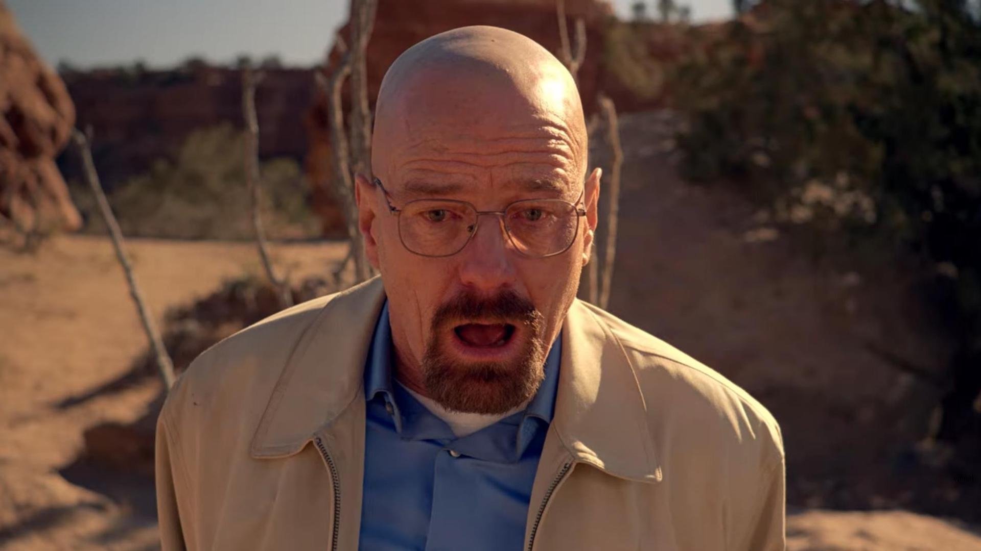 Breaking Bad Season 5 :Episode 14  Ozymandias