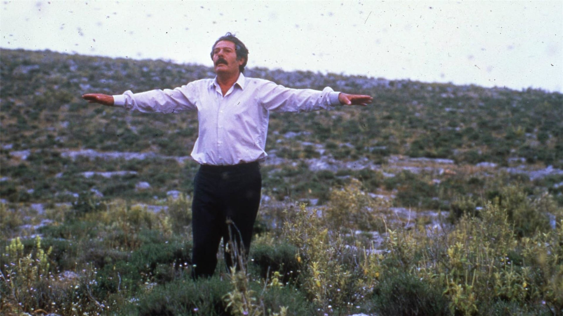 Ο Μελισσοκόμος (1987)