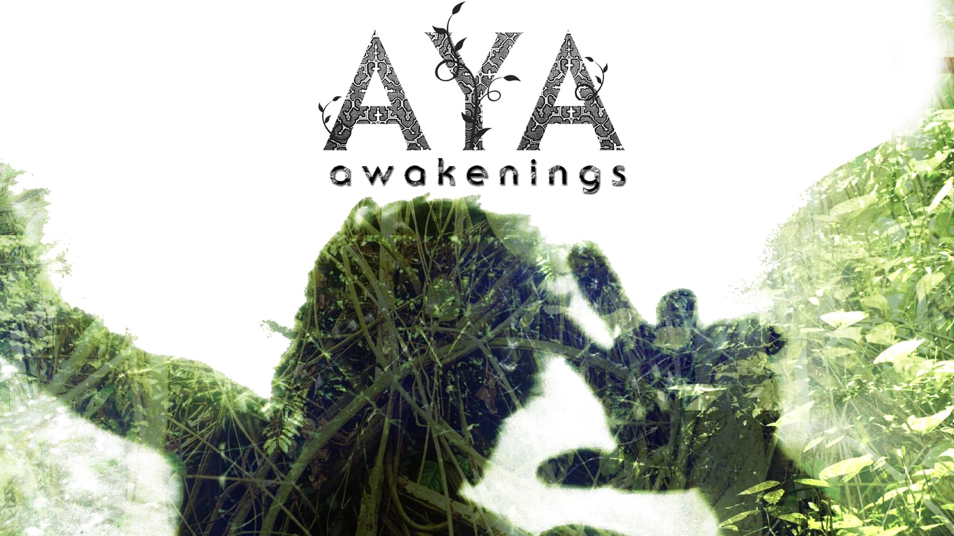 Aya: Awakenings (2013)