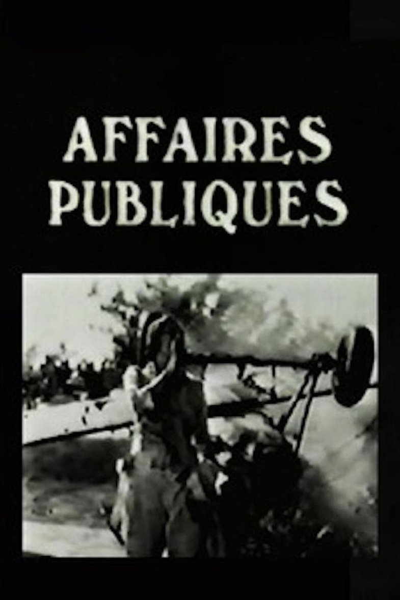 Affiche du film Affaires publiques 135465