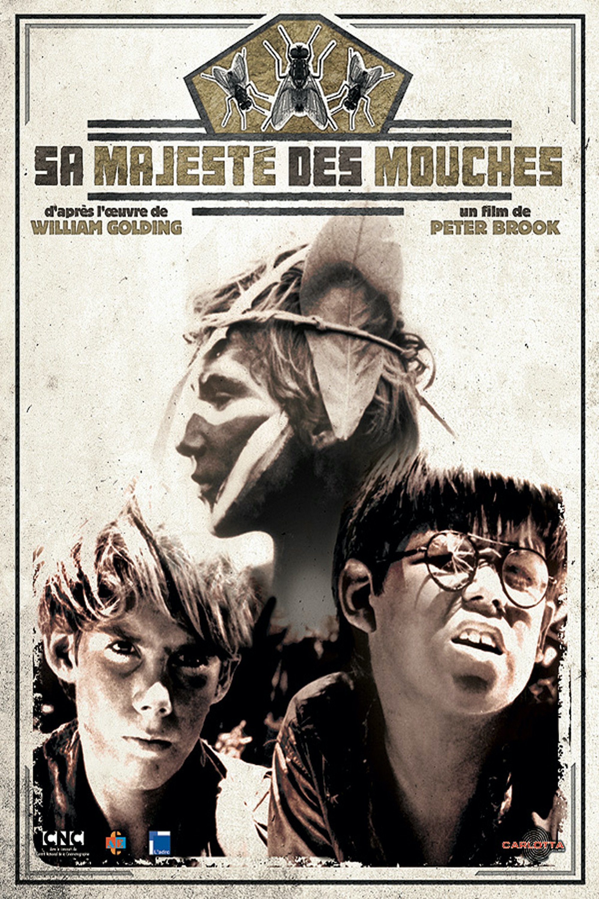 Affiche du film Sa Majesté des Mouches 10745