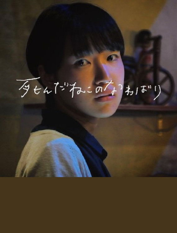 死んだ猫の縄張り