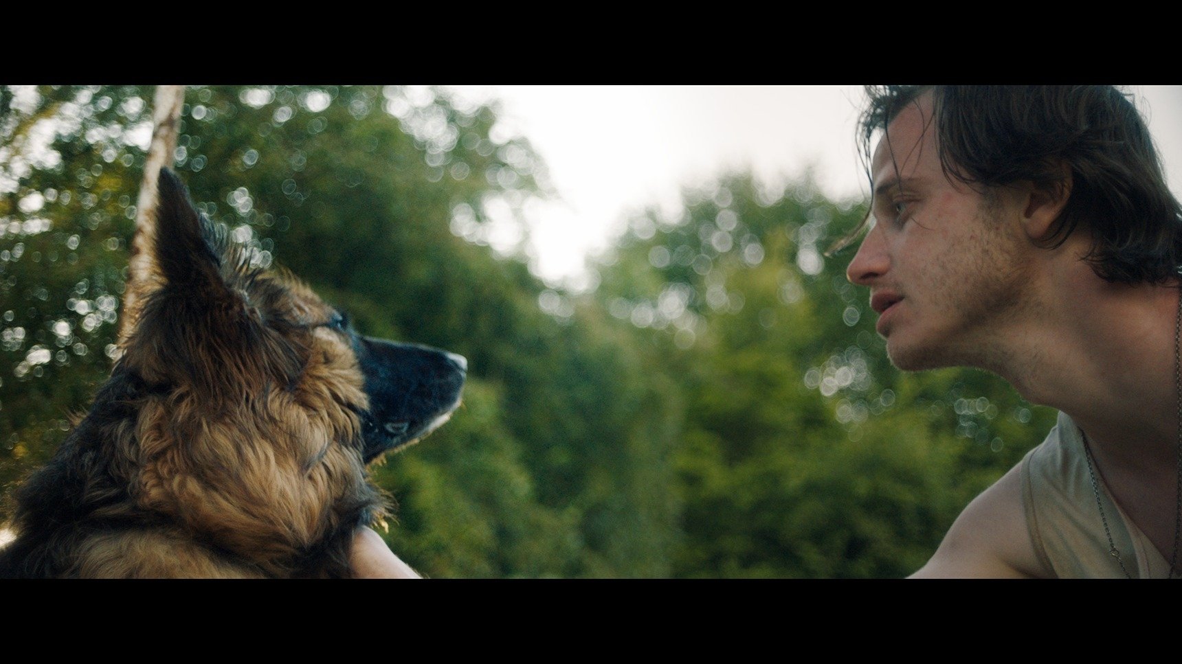 Dog Run (2023)