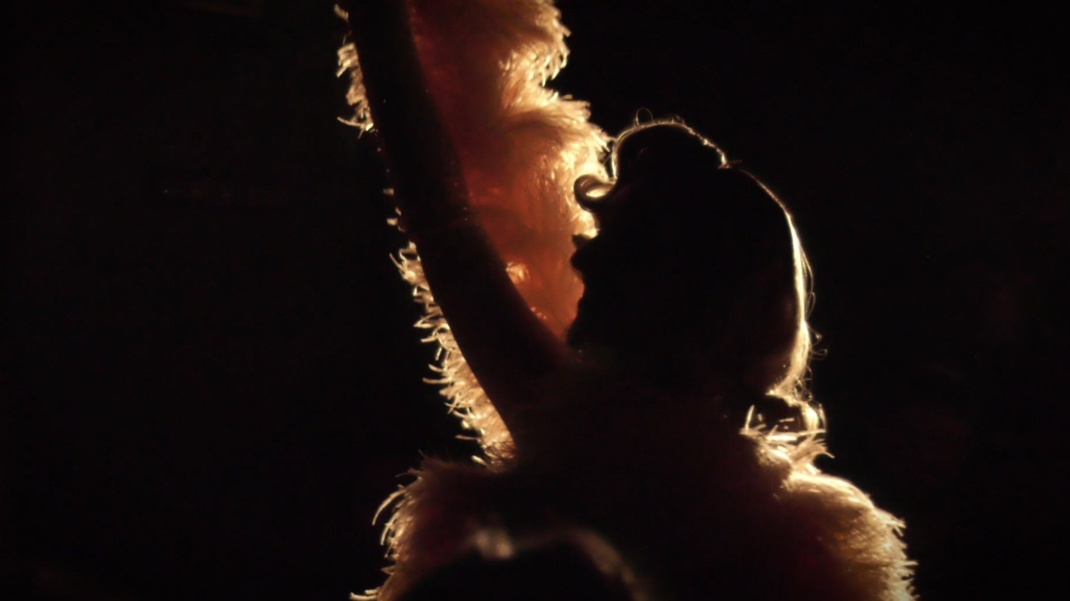 Burlesque