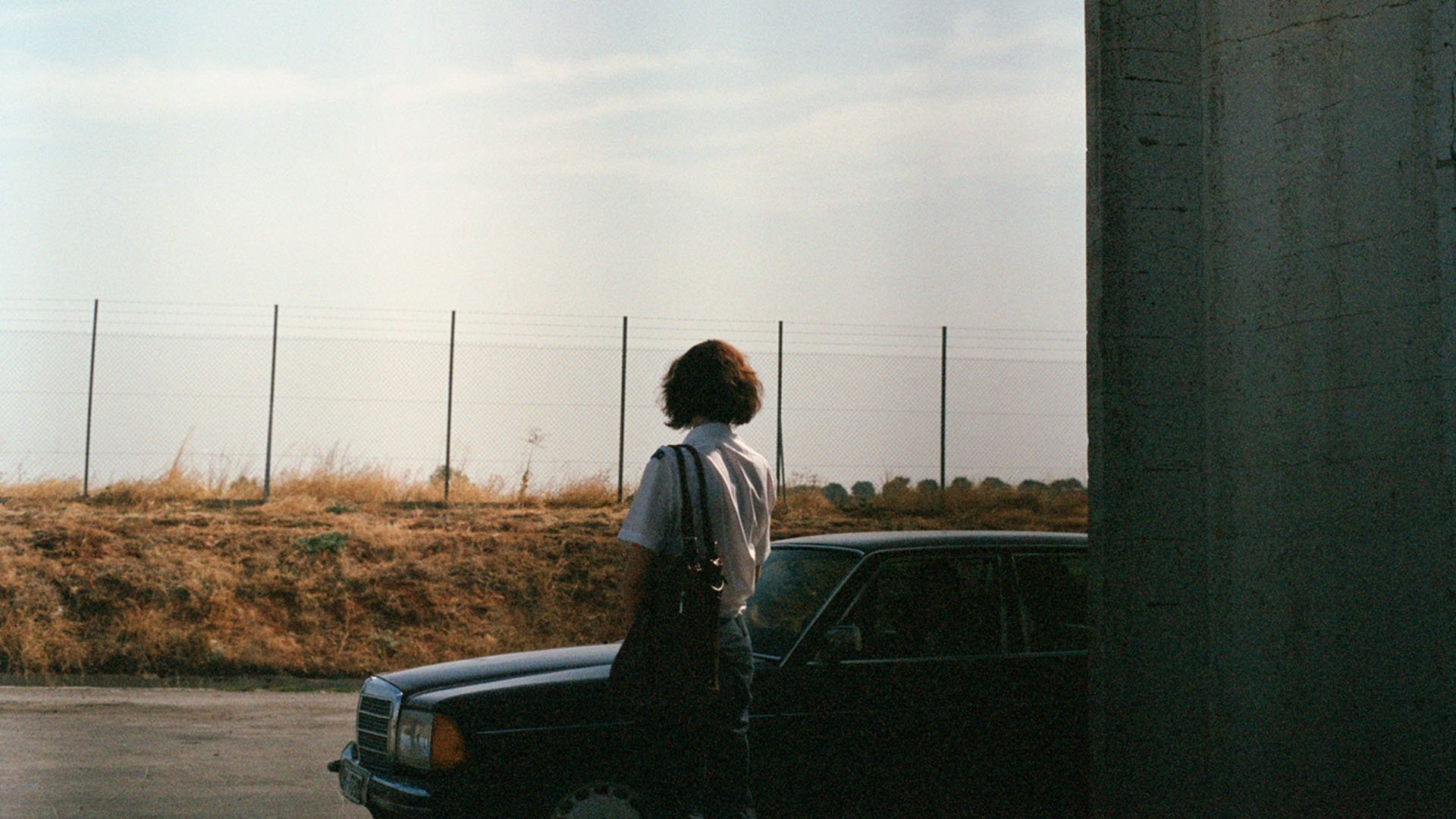 Dogtooth