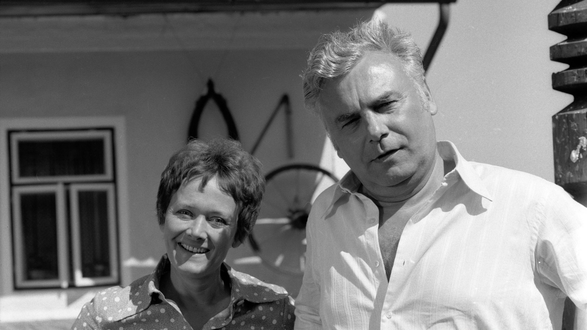 Holubník (1980)