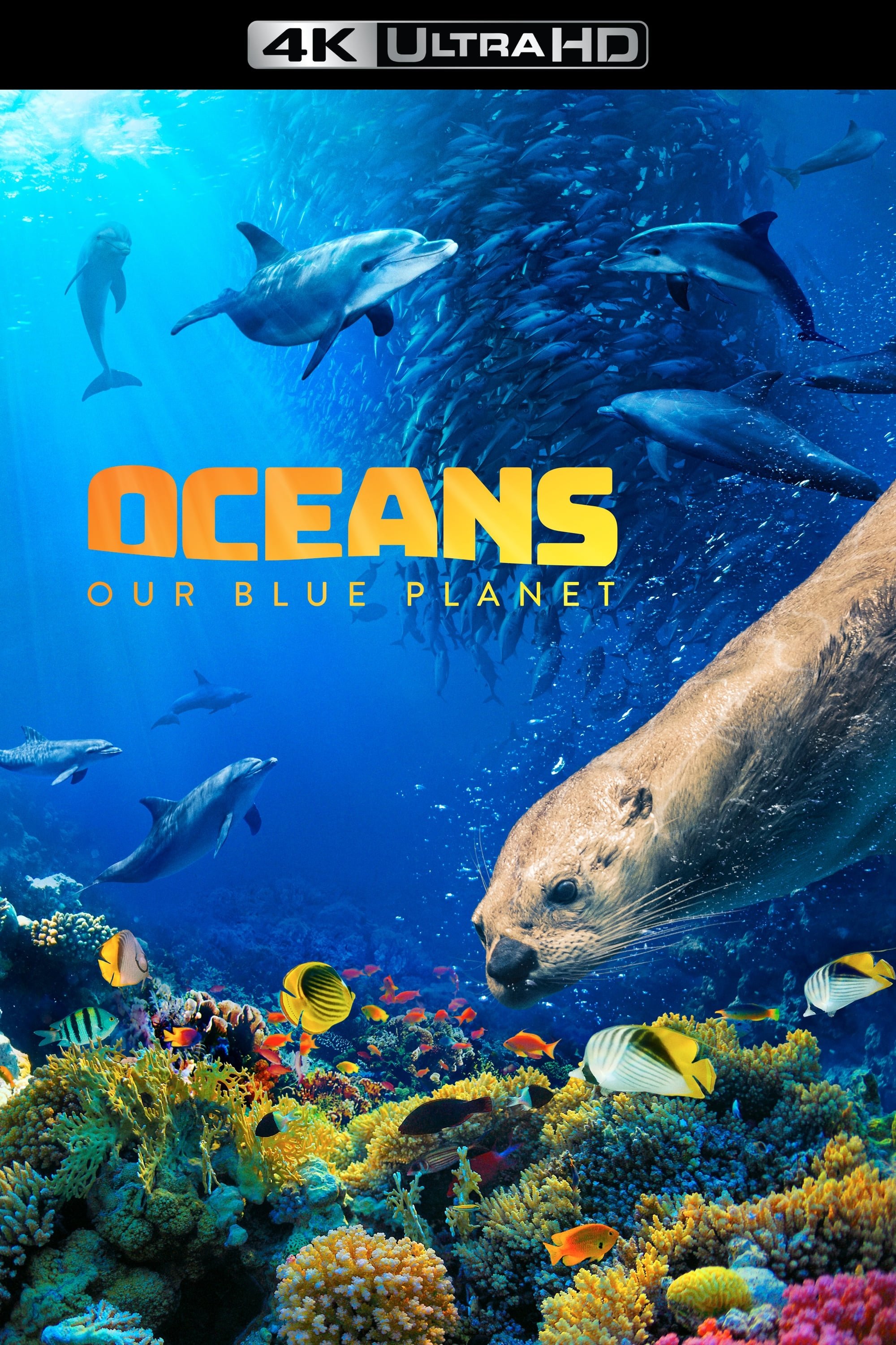 Oceans: Our Blue Planet