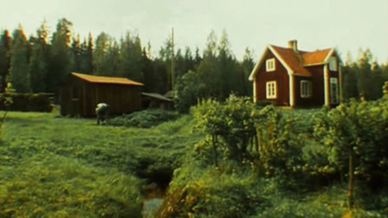 The Old Man in the Cottage (1996)