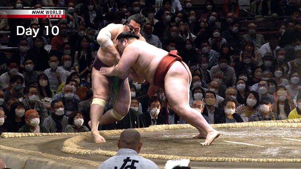 GRAND SUMO Highlights Season 11 :Episode 10  Day 10