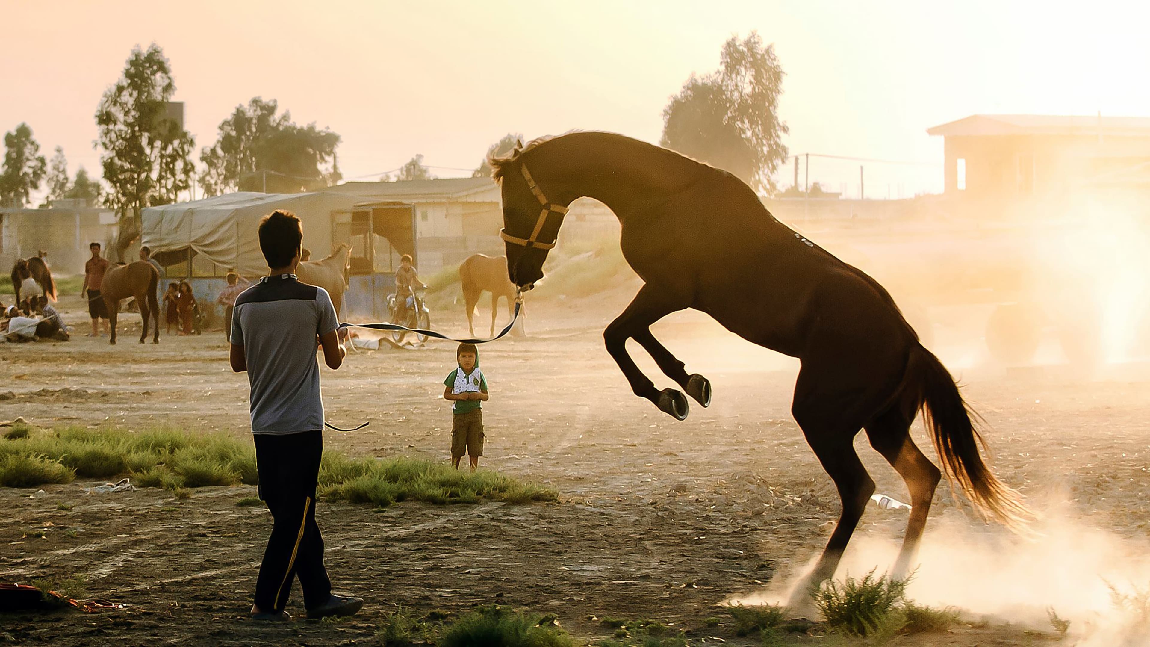 Atlan (2015)
