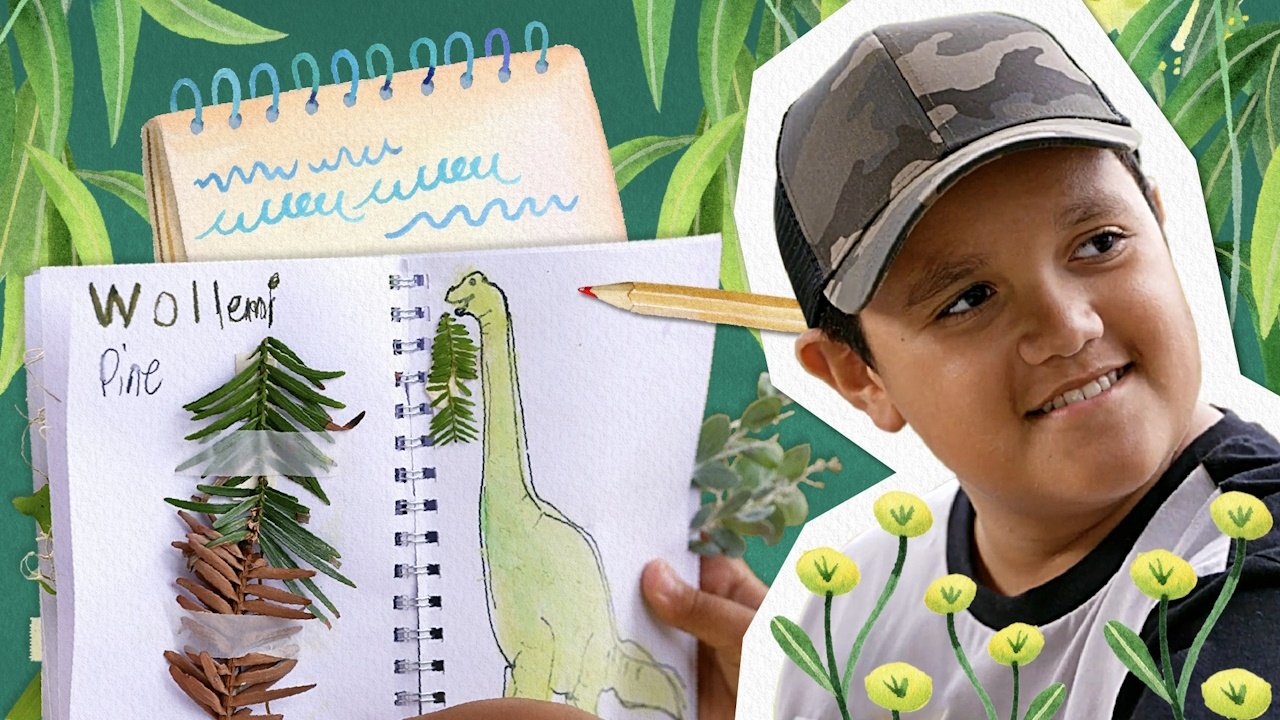 Thumbnail for Tree Diary Season 1 Episode 18