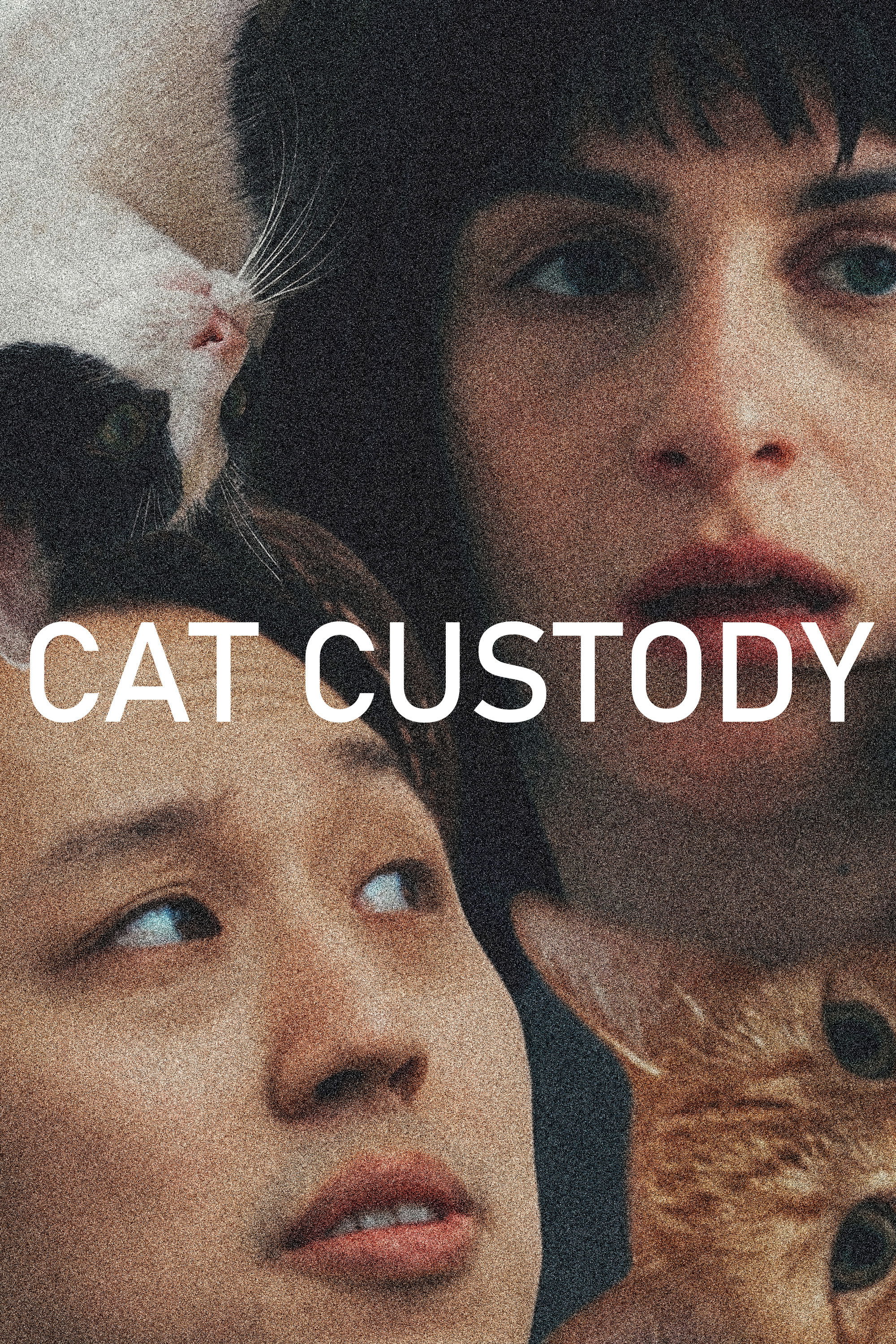 Cat Custody movie poster - movieMx Cat Custody (null) movie poster