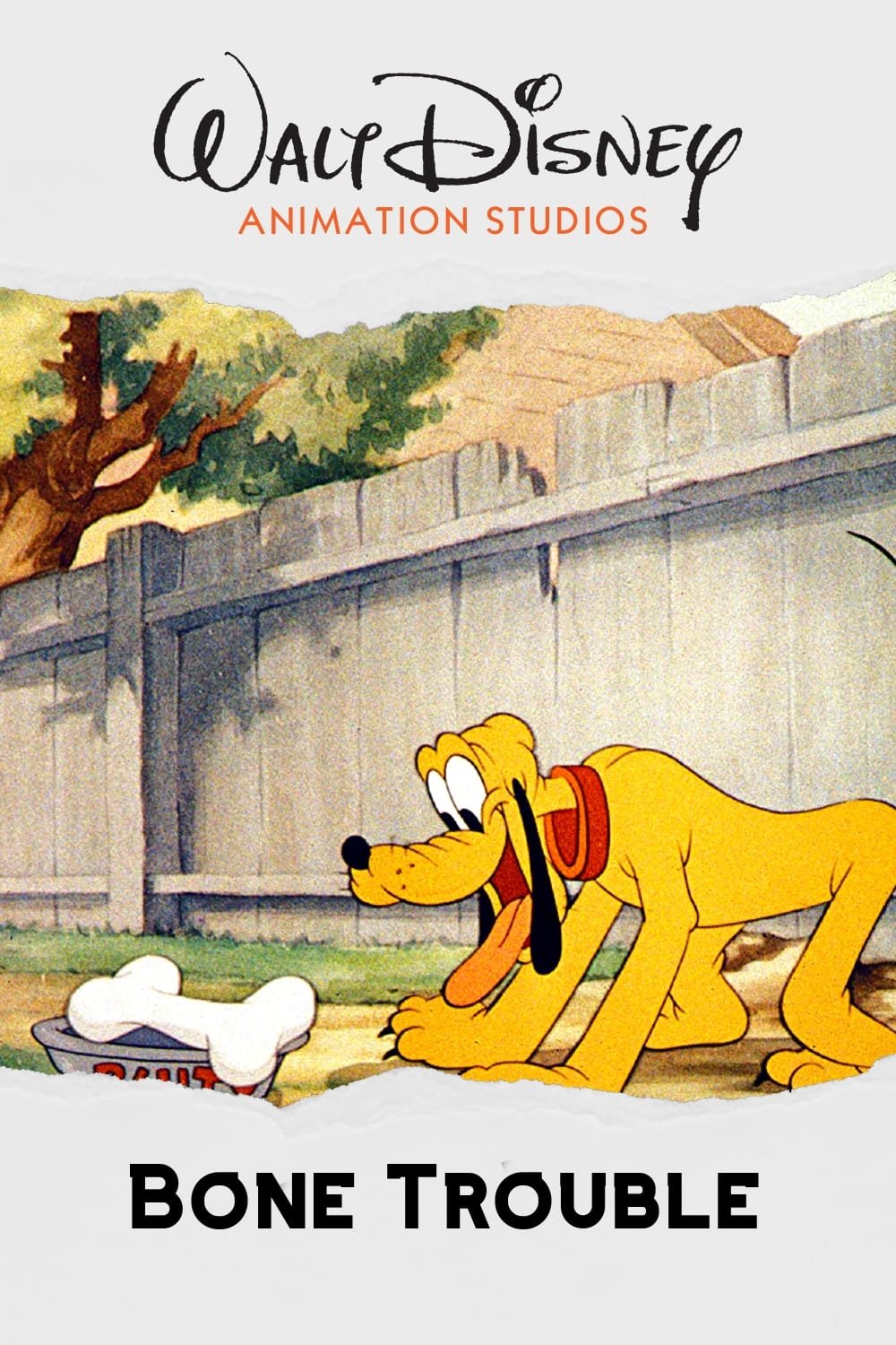 Bone Trouble