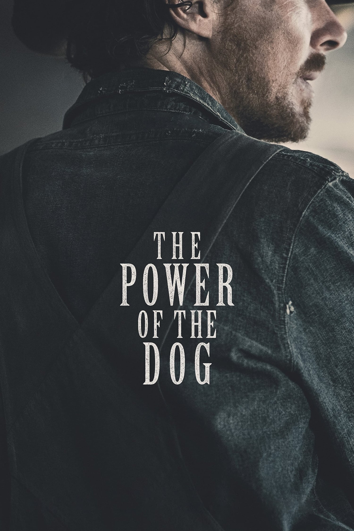 The Power of the Dog Movie poster