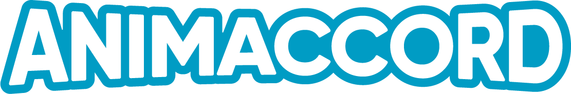 Animaccord Animation Studio