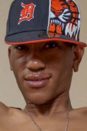 et billede af Lepricon