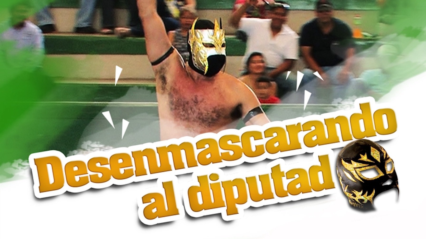 Desenmascarando al diputado (2009)