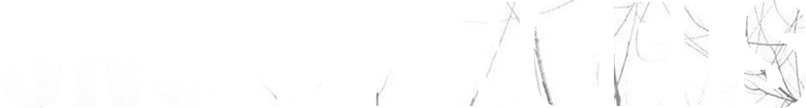 Snow Angels Logo