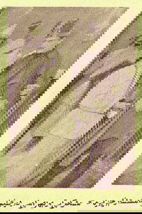 مستشار جزیره