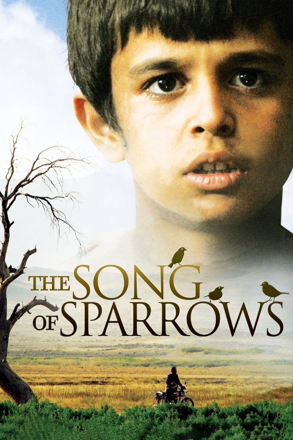 The Song of Sparrows