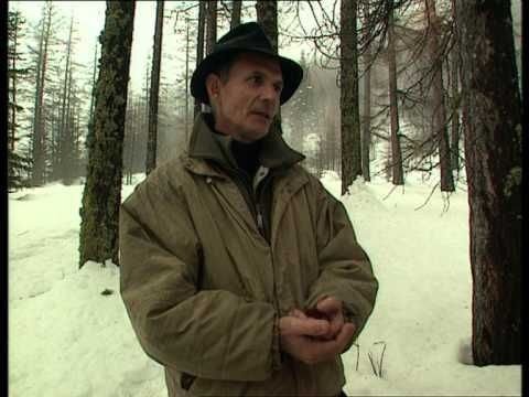 C'est pas sorcier - Réveillon sous la neige