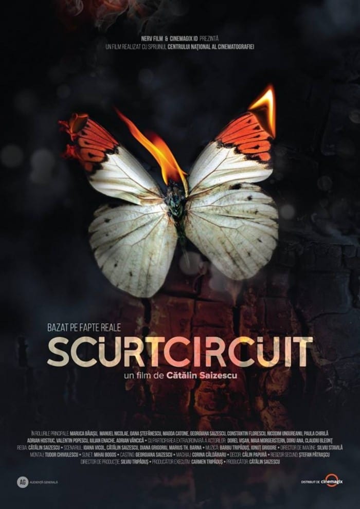 Affiche du film Court-circuit 139677