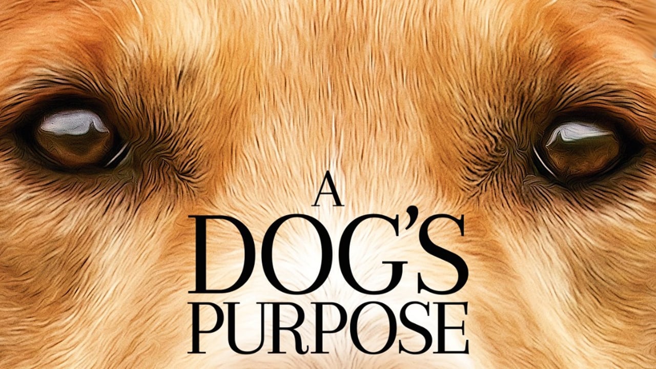 A Dog's Purpose (2017)