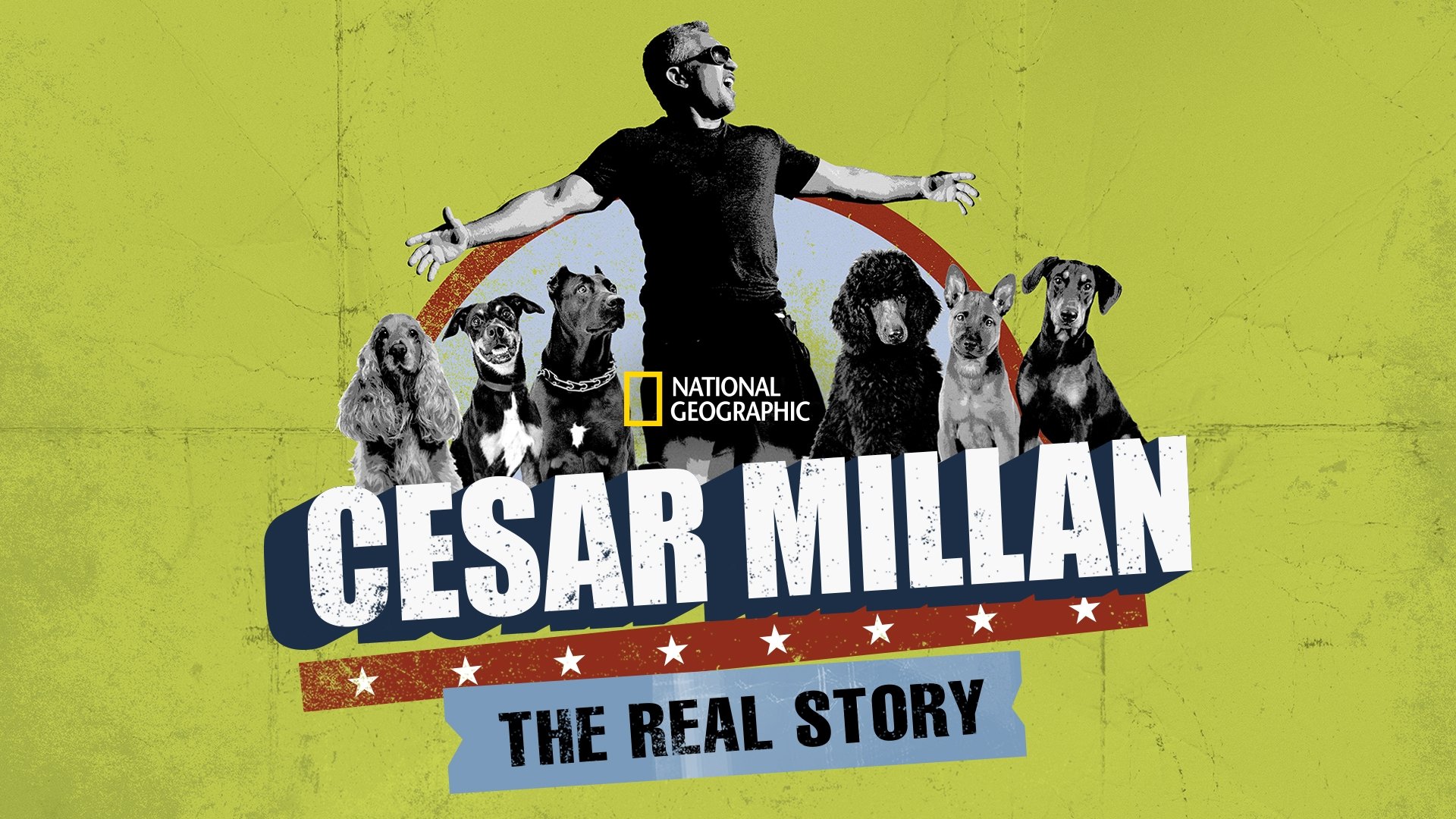 Cesar Millan igaz története (2012)