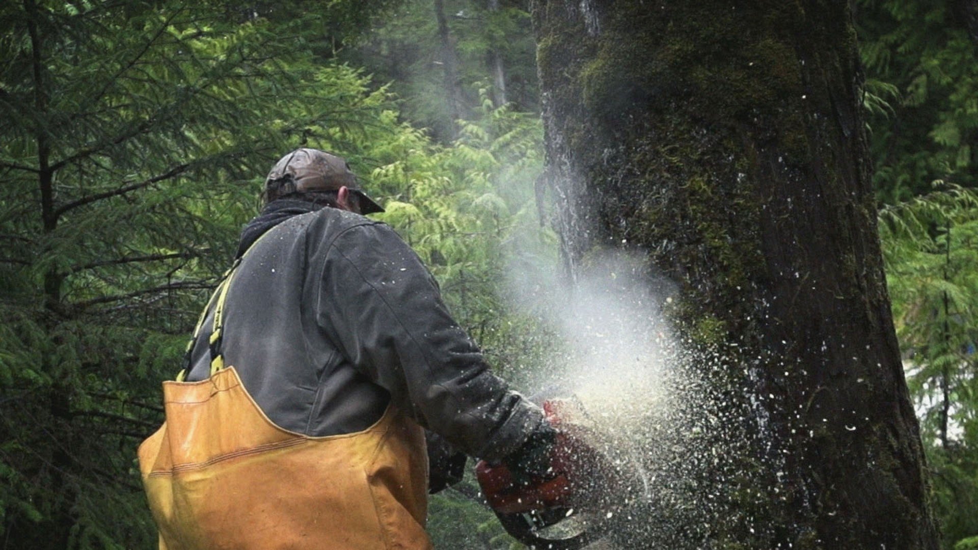 Port Protection Alaska - Épisode 6