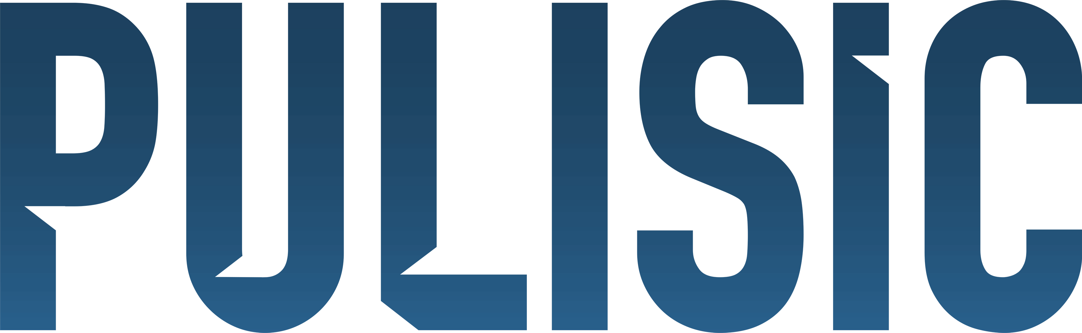 PULISIC Logo