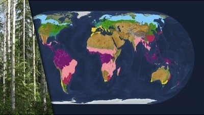 Mapping the World